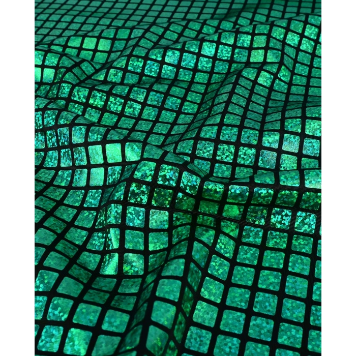 Check Hologram Foil 5658