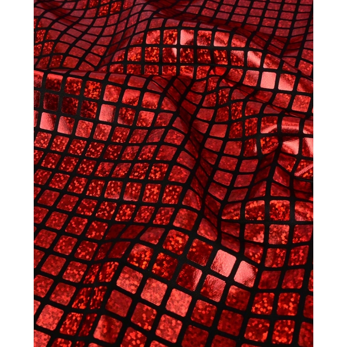 Check Hologram Foil 5658