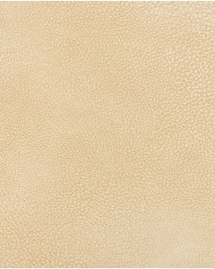 Cantara Leather 5867