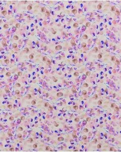 Poplin Digital Eucapyptus 5829