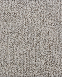 Snowy Teddy 6184