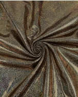 Holographic Lamé Jersey 6095